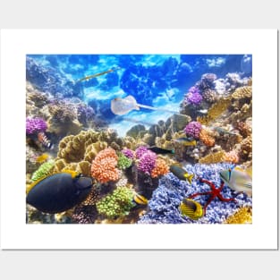 Underwater world coral reef photography Posters and Art